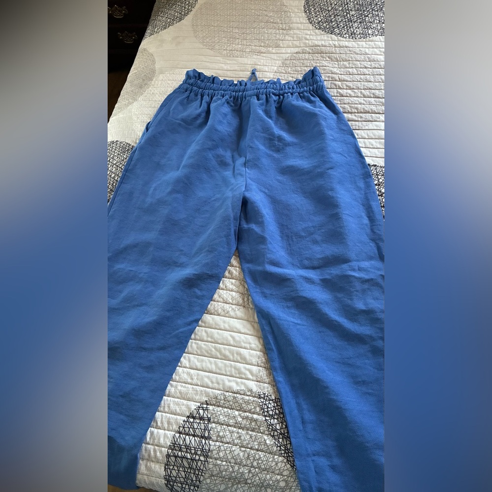 ZARA WOMAN Blue Elastic Waist Pants - Picture 3 of 10